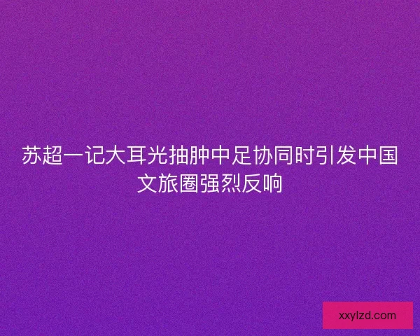 苏超一记大耳光抽肿中足协同时引发中国文旅圈强烈反响